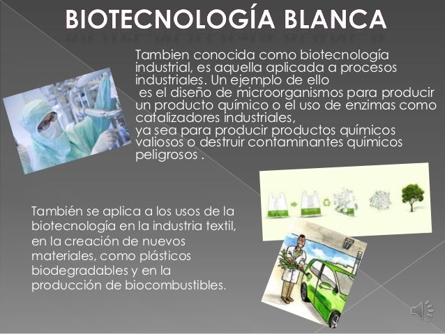 Biotecnologia Industrial Pdf